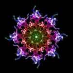 Le Grand Bal de la Demence